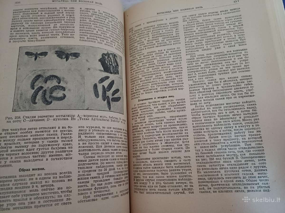 Parduodu knyga.энциклопедия пчеловодства1927 - nuotraukos Nr. 22