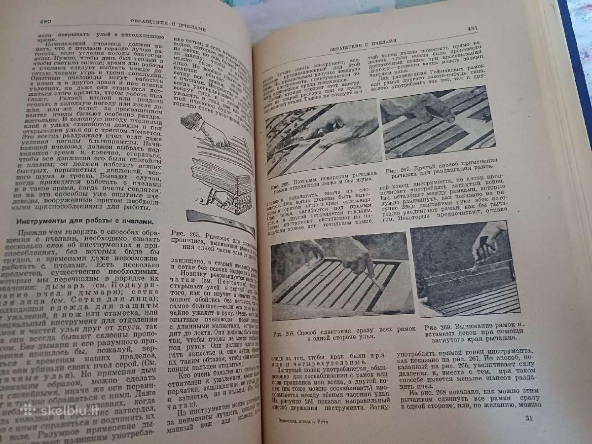 Parduodu knyga.энциклопедия пчеловодства1927 - nuotraukos Nr. 20