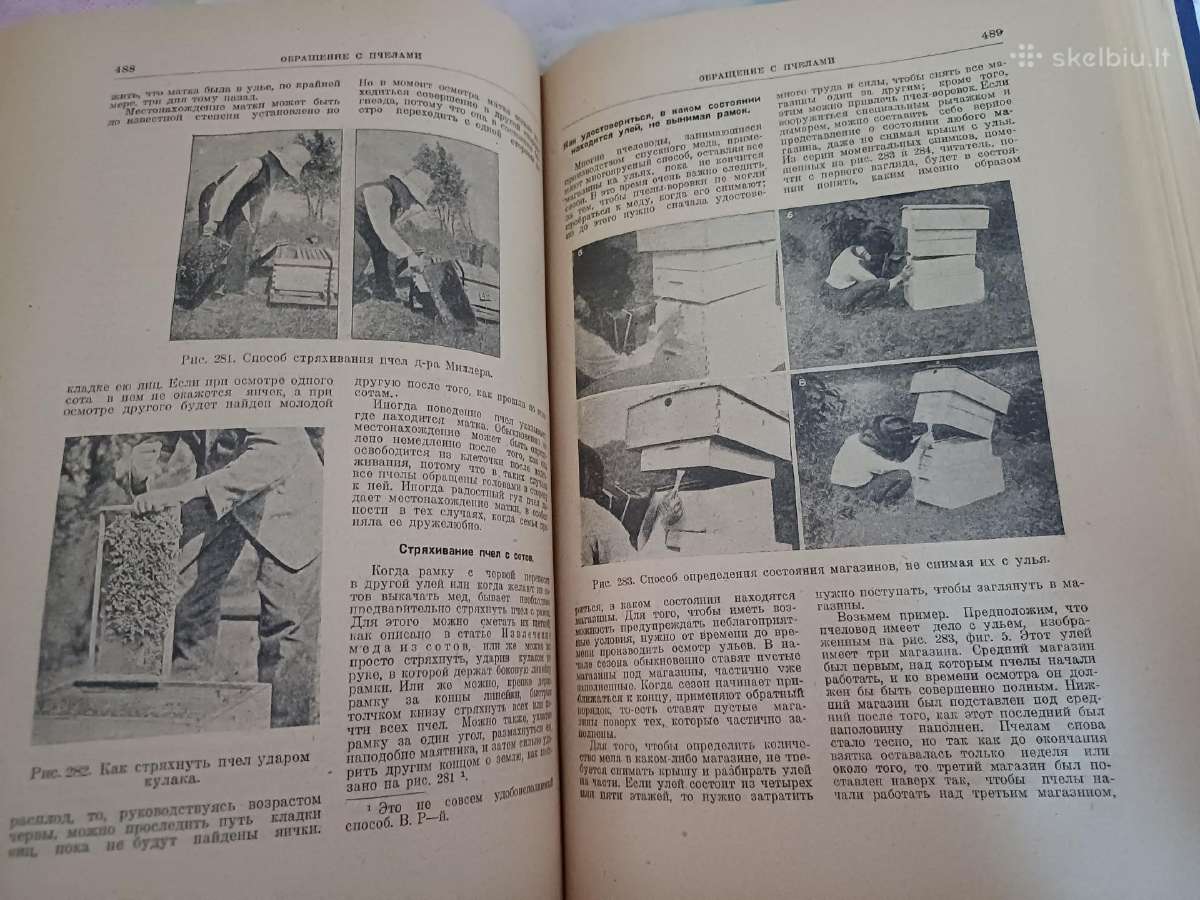 Parduodu knyga.энциклопедия пчеловодства1927 - nuotraukos Nr. 23