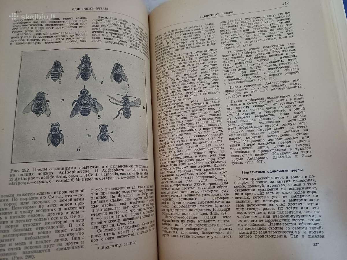 Parduodu knyga.энциклопедия пчеловодства1927 - nuotraukos Nr. 24