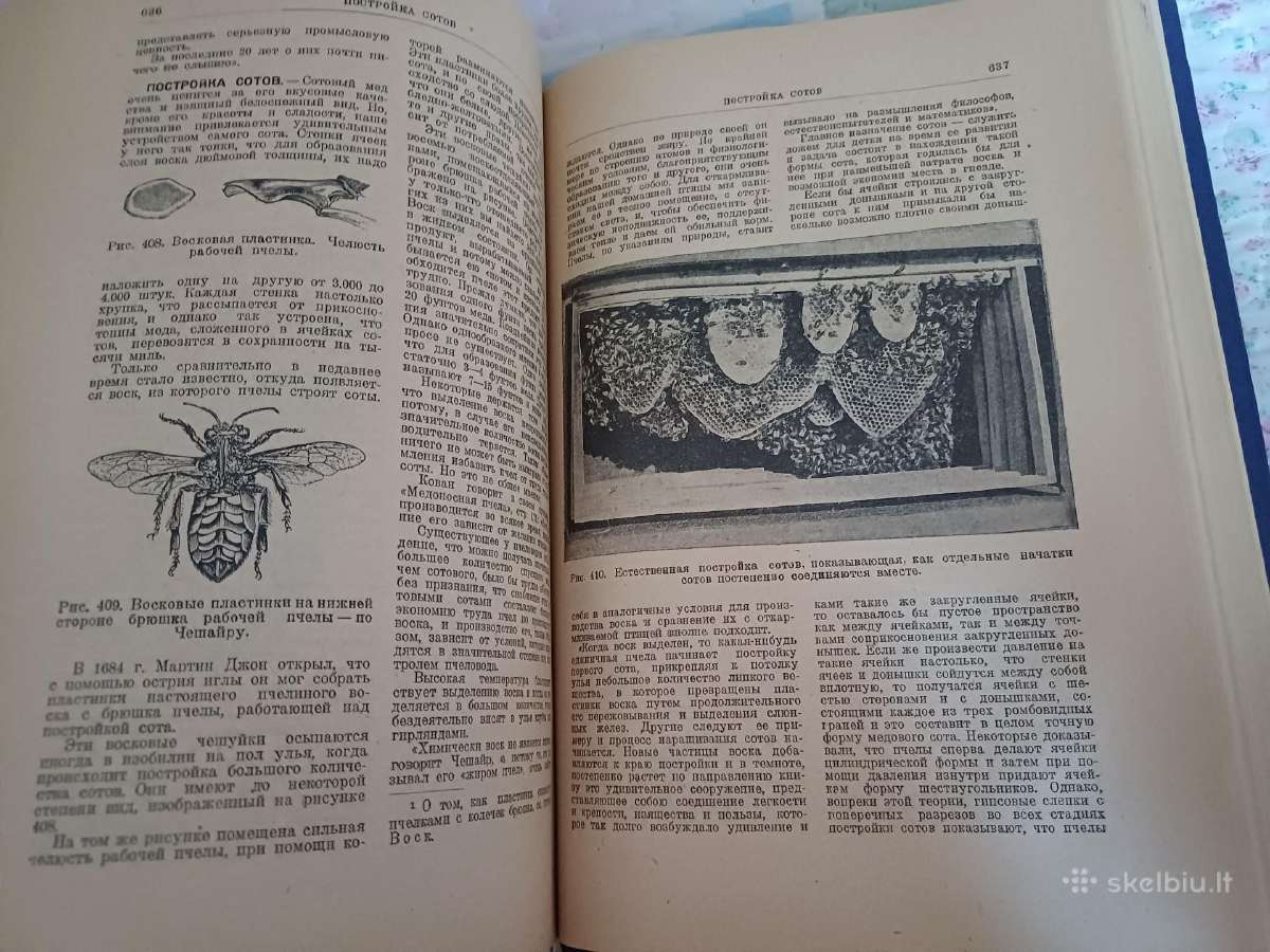 Parduodu knyga.энциклопедия пчеловодства1927 - nuotraukos Nr. 5