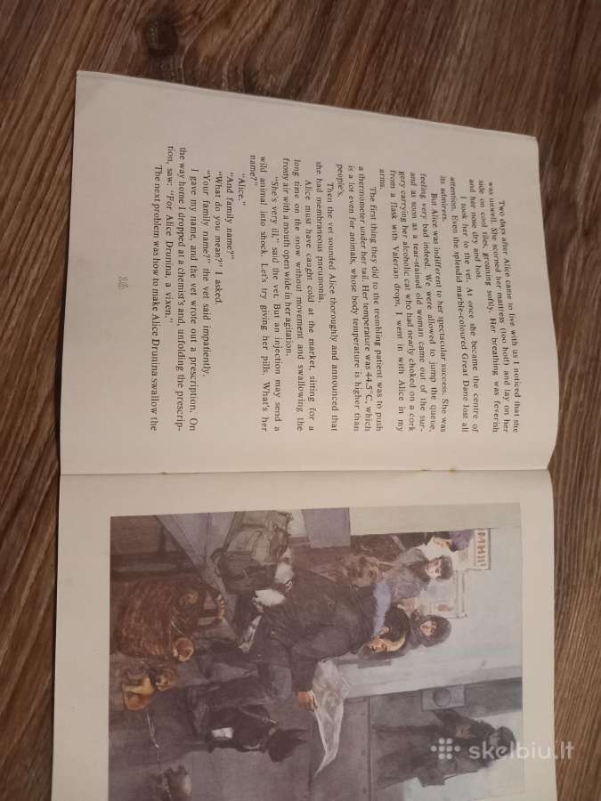 Vaikiškos knygos anglų kalba - nuotraukos Nr. 8