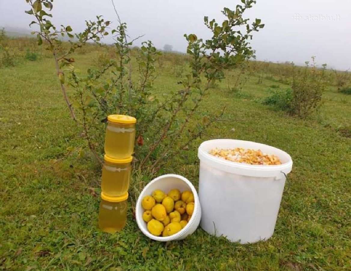 Ekologiški svarainių gaminiai - nuotraukos Nr. 4