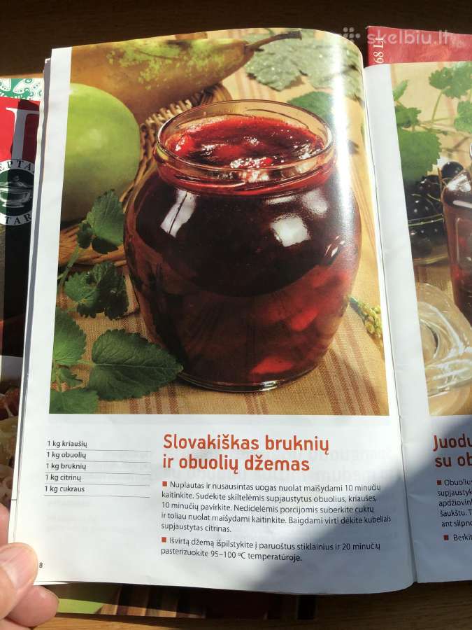 Žurnalai Darbštuolė - nuotraukos Nr. 8