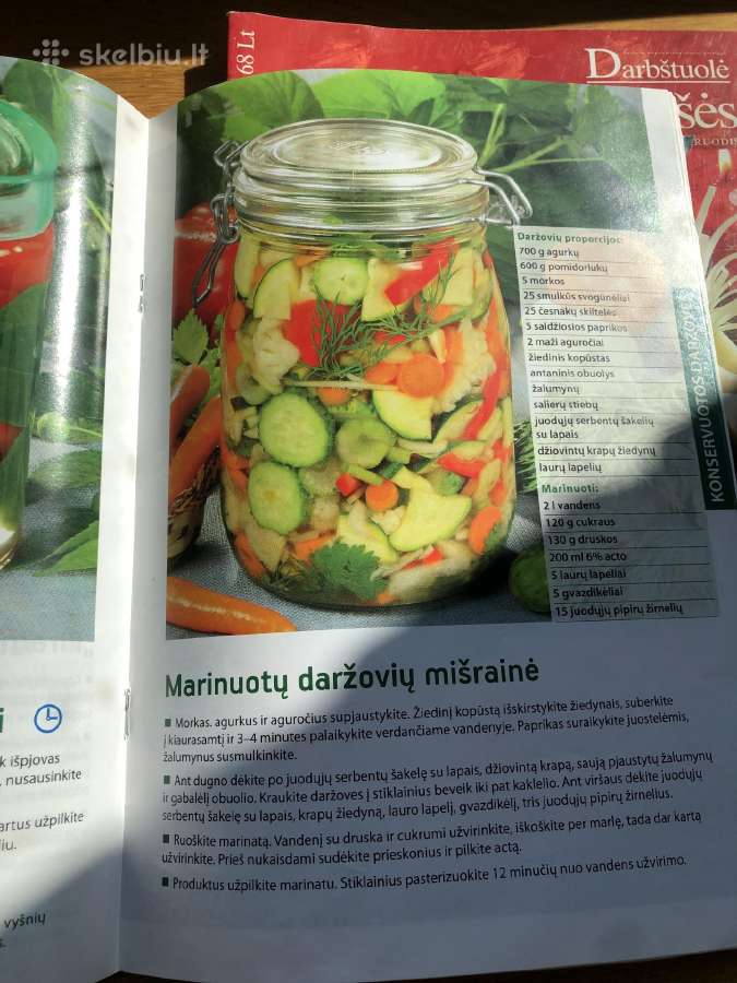 Žurnalai Darbštuolė - nuotraukos Nr. 9