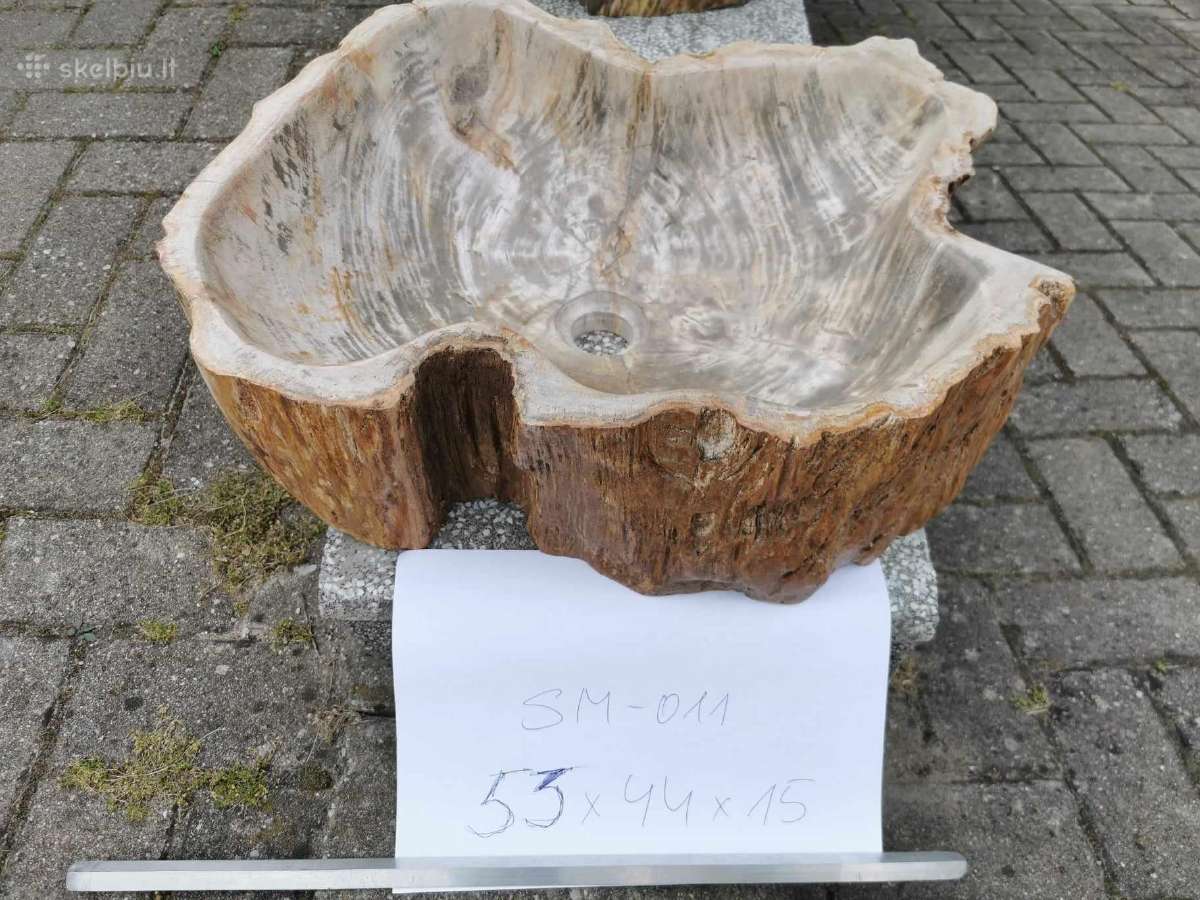 Fosilijos praustuvas , suakmenėjęs medis - nuotraukos Nr. 15