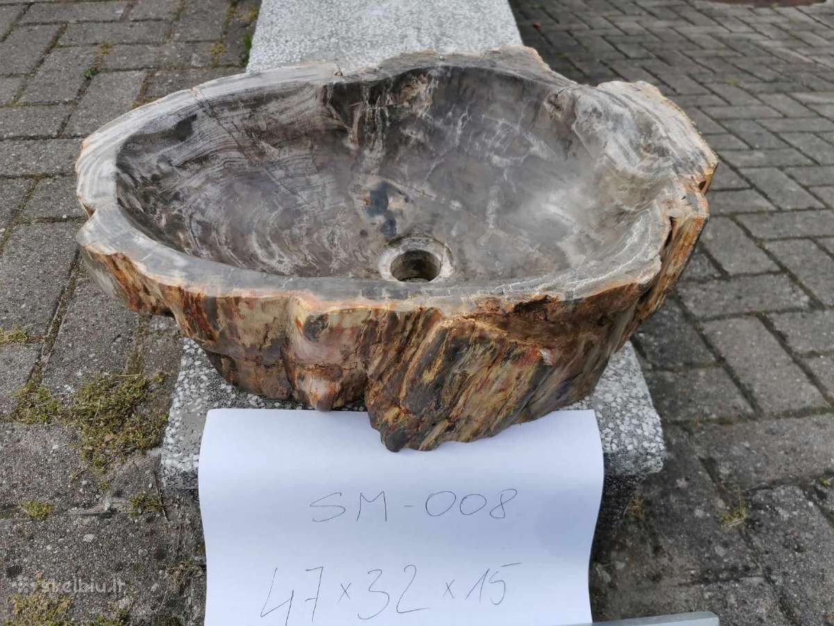 Fosilijos praustuvas , suakmenėjęs medis
