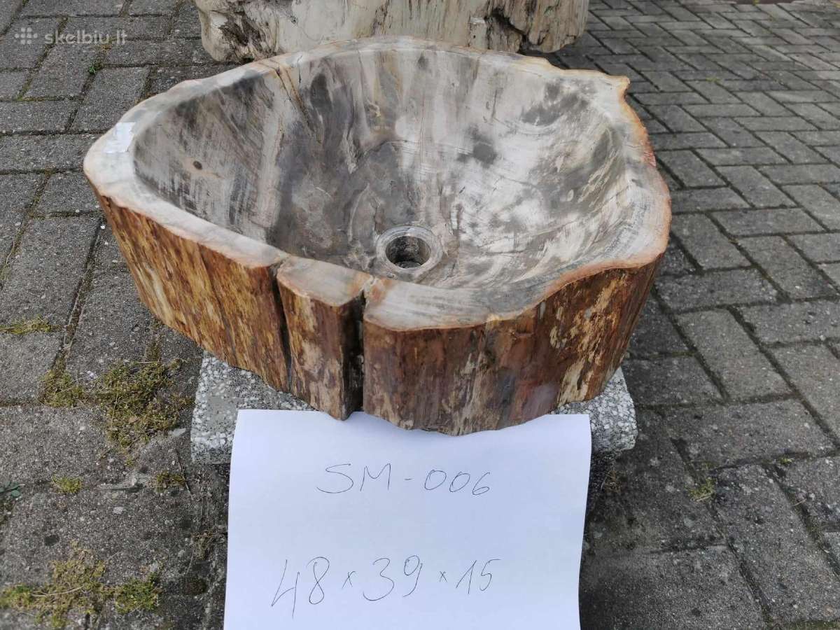 Fosilijos praustuvas , suakmenėjęs medis - nuotraukos Nr. 21