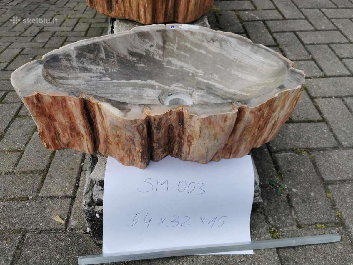 Fosilijos praustuvas , suakmenėjęs medis - nuotraukos Nr. 6