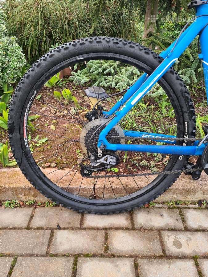 Focus Black Hills dviratis - nuotraukos Nr. 5