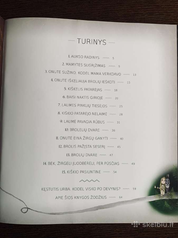 Brolių ieškotoja - nuotraukos Nr. 3