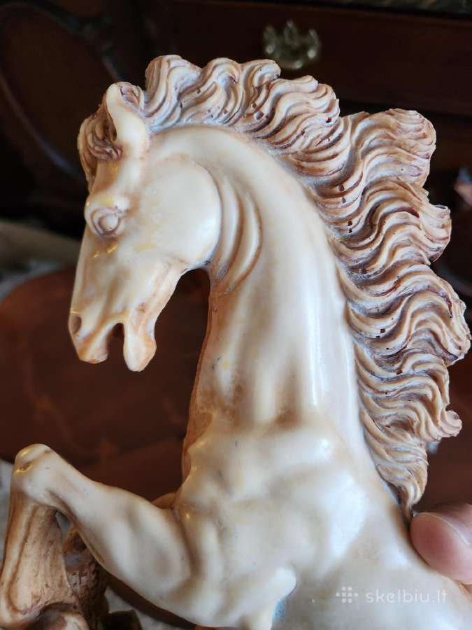 Statulele arklis - nuotraukos Nr. 9
