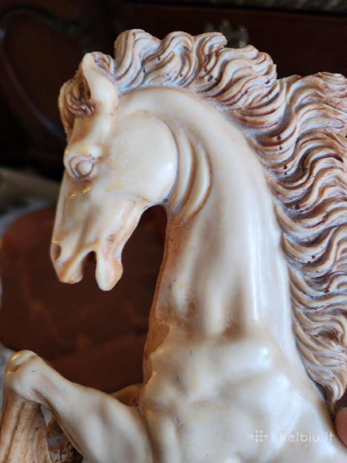 Statulele arklis - nuotraukos Nr. 4