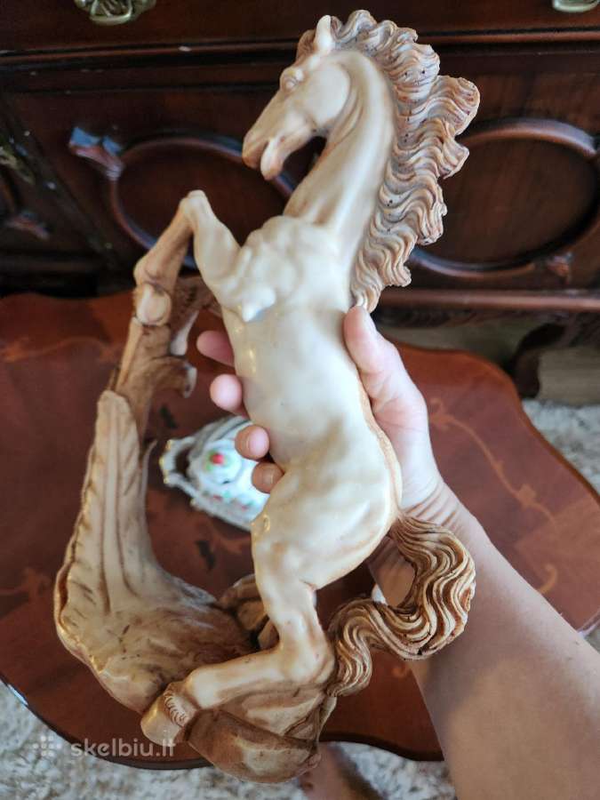 Statulele arklis - nuotraukos Nr. 3