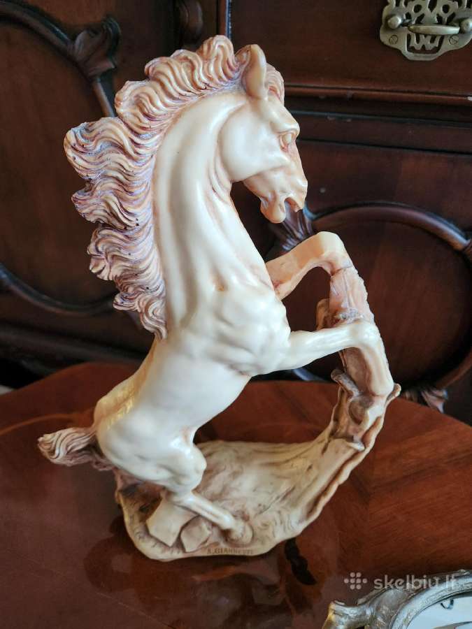 Statulele arklis - nuotraukos Nr. 2