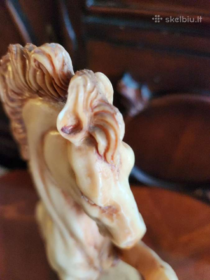 Statulele arklis - nuotraukos Nr. 8