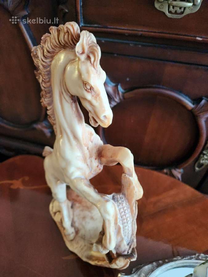 Statulele arklis - nuotraukos Nr. 6