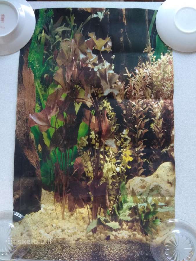 Akvariumo dekoracija dvipuse