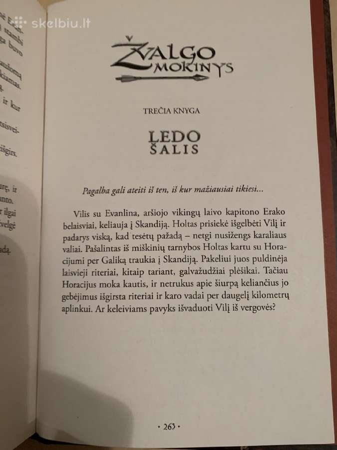 Žvalgo mokinys. Degantis tiltas - nuotraukos Nr. 2