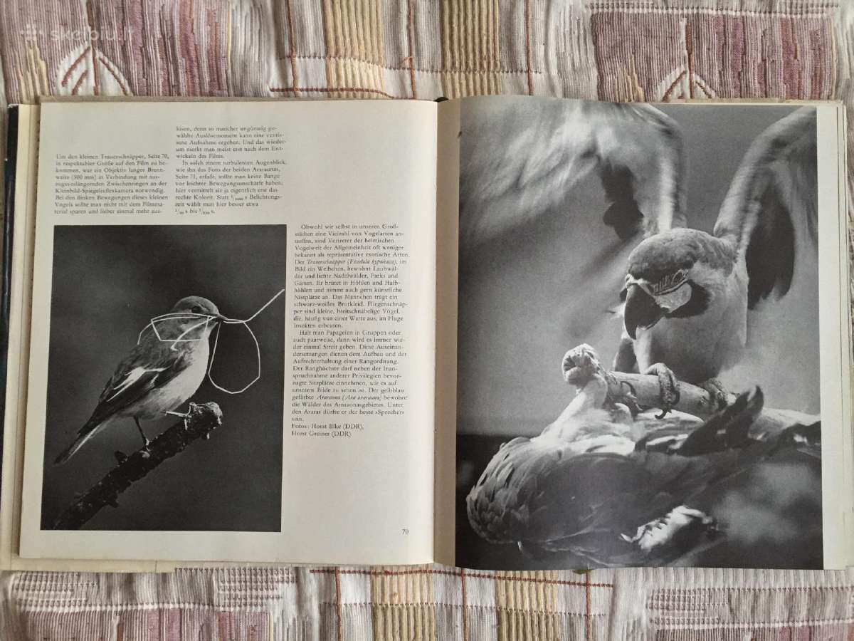 Vokiškas zoofotografijos vadovas - nuotraukos Nr. 2