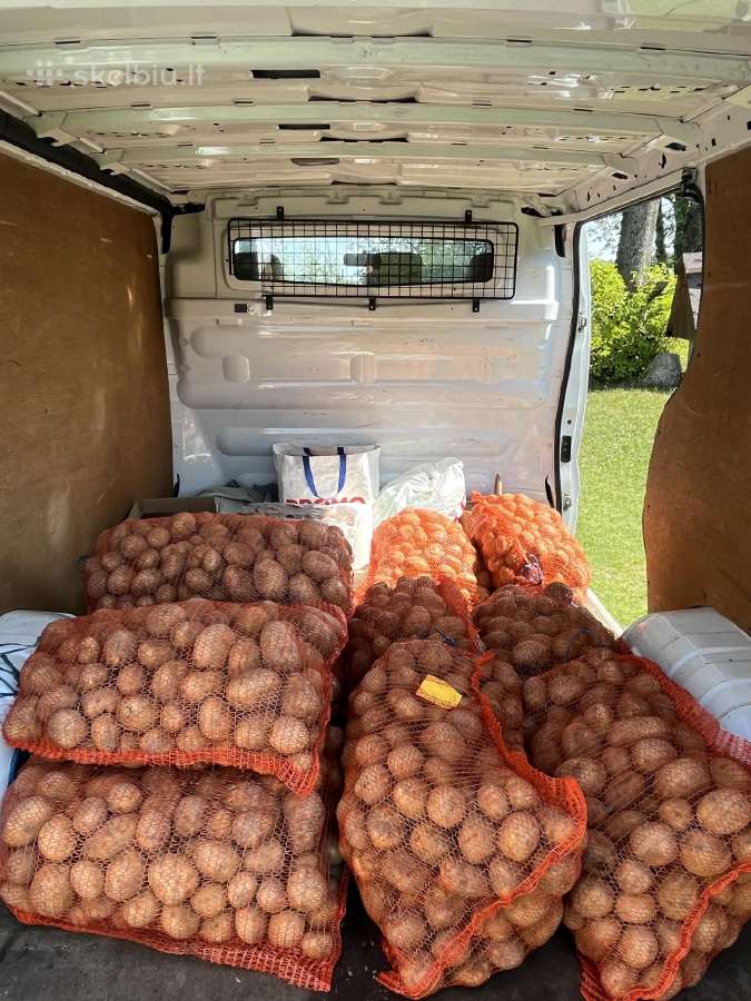 Parduodame šviežiai kastas bulves Vineta - nuotraukos Nr. 2