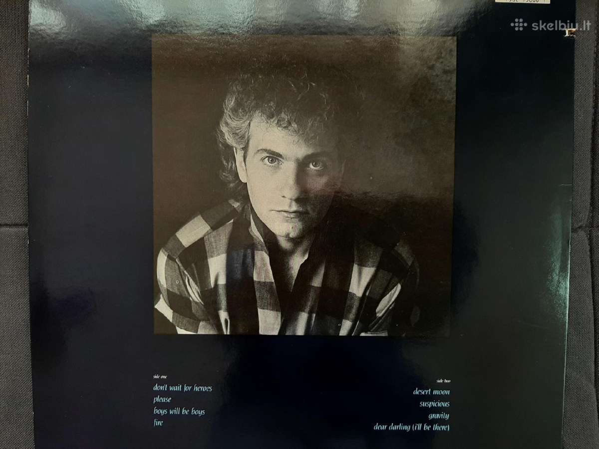 Dennis Deyoung 1984 “Desert Moon - nuotraukos Nr. 2
