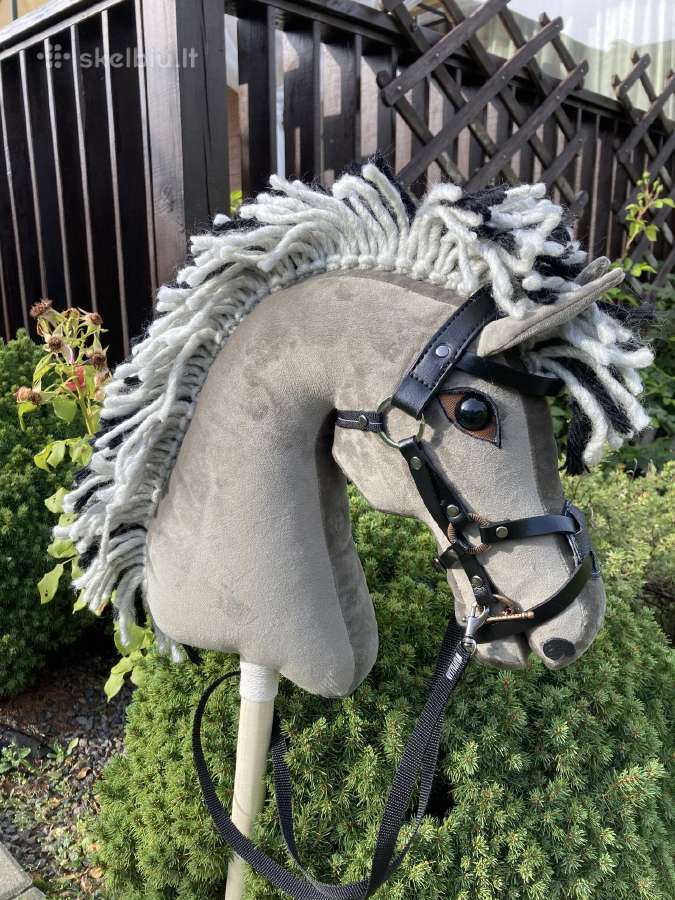 Hobby Horsing Arkliukai - nuotraukos Nr. 10