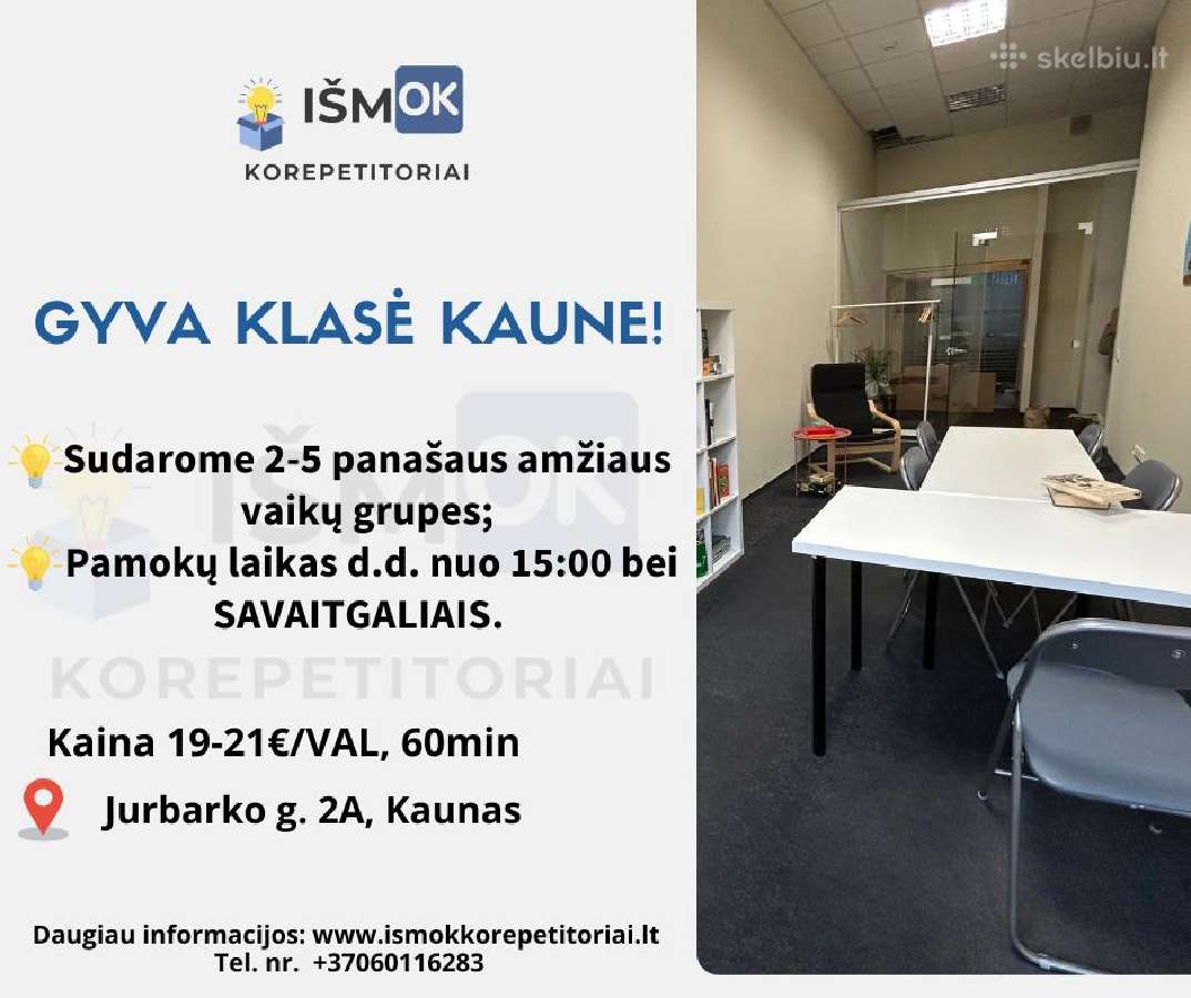 Individualūs korepetitoriai nuotoliu, gyvai Kaune - nuotraukos Nr. 6