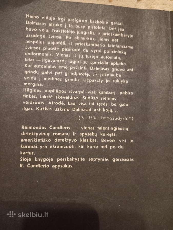 Detektyviniai romanai - nuotraukos Nr. 12