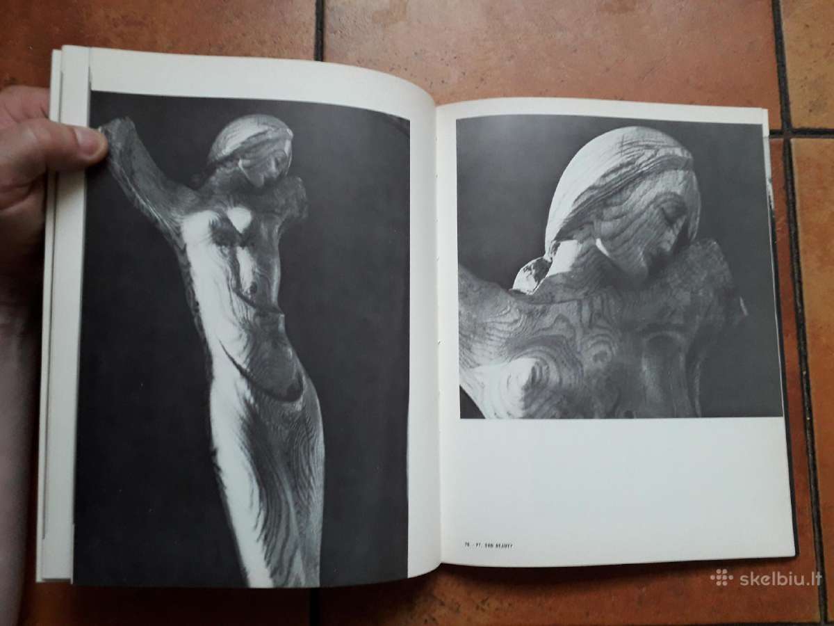 Dr. Otto Schneid "Dagys sculptures and paintings" - nuotraukos Nr. 13