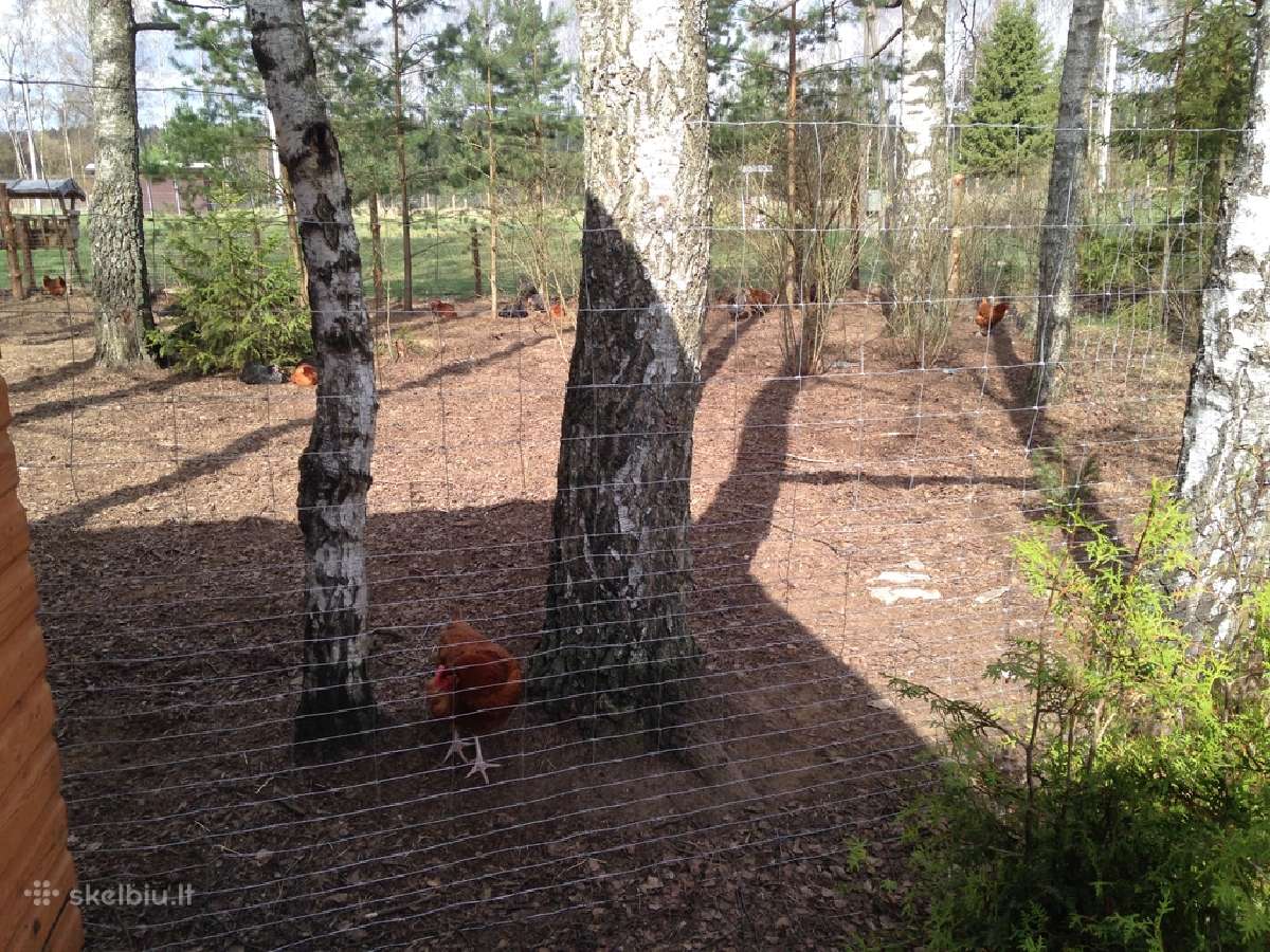 Tinklinė tvora. - nuotraukos Nr. 2