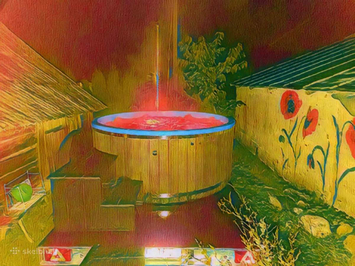 Didelio kubilo su galingu jacuzzi nuoma - nuotraukos Nr. 9