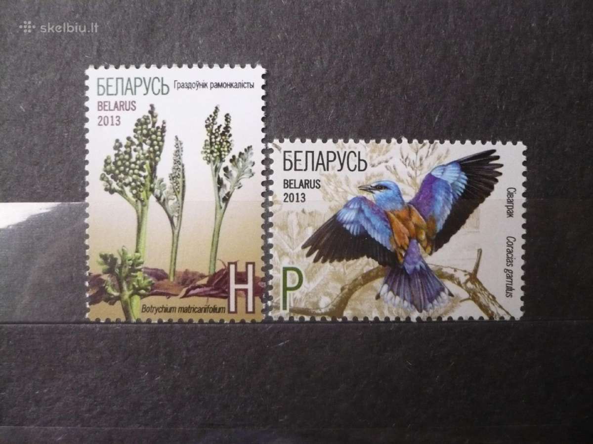 2013 m. Baltarusijos Raudonoji knyga