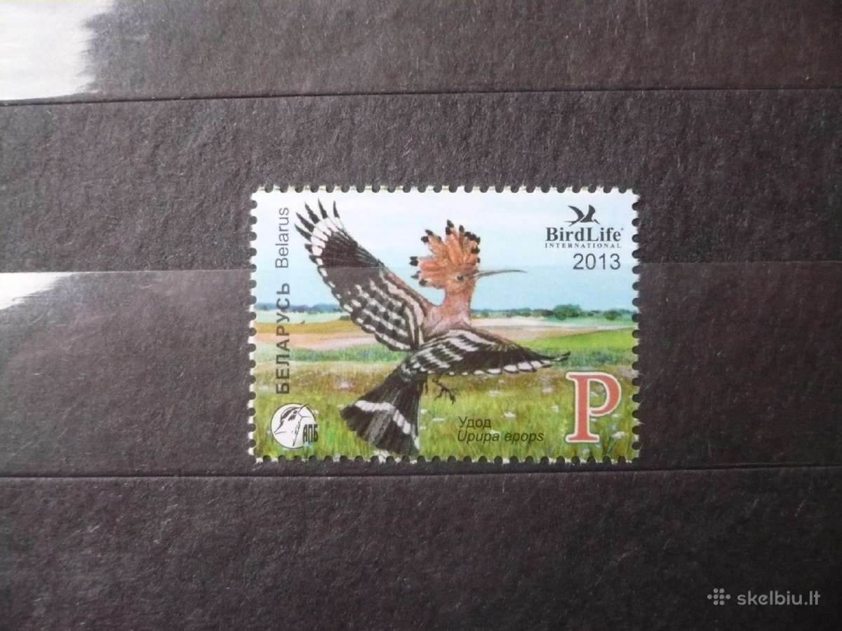 2013 metų paukštis – Hoopoe Mhn
