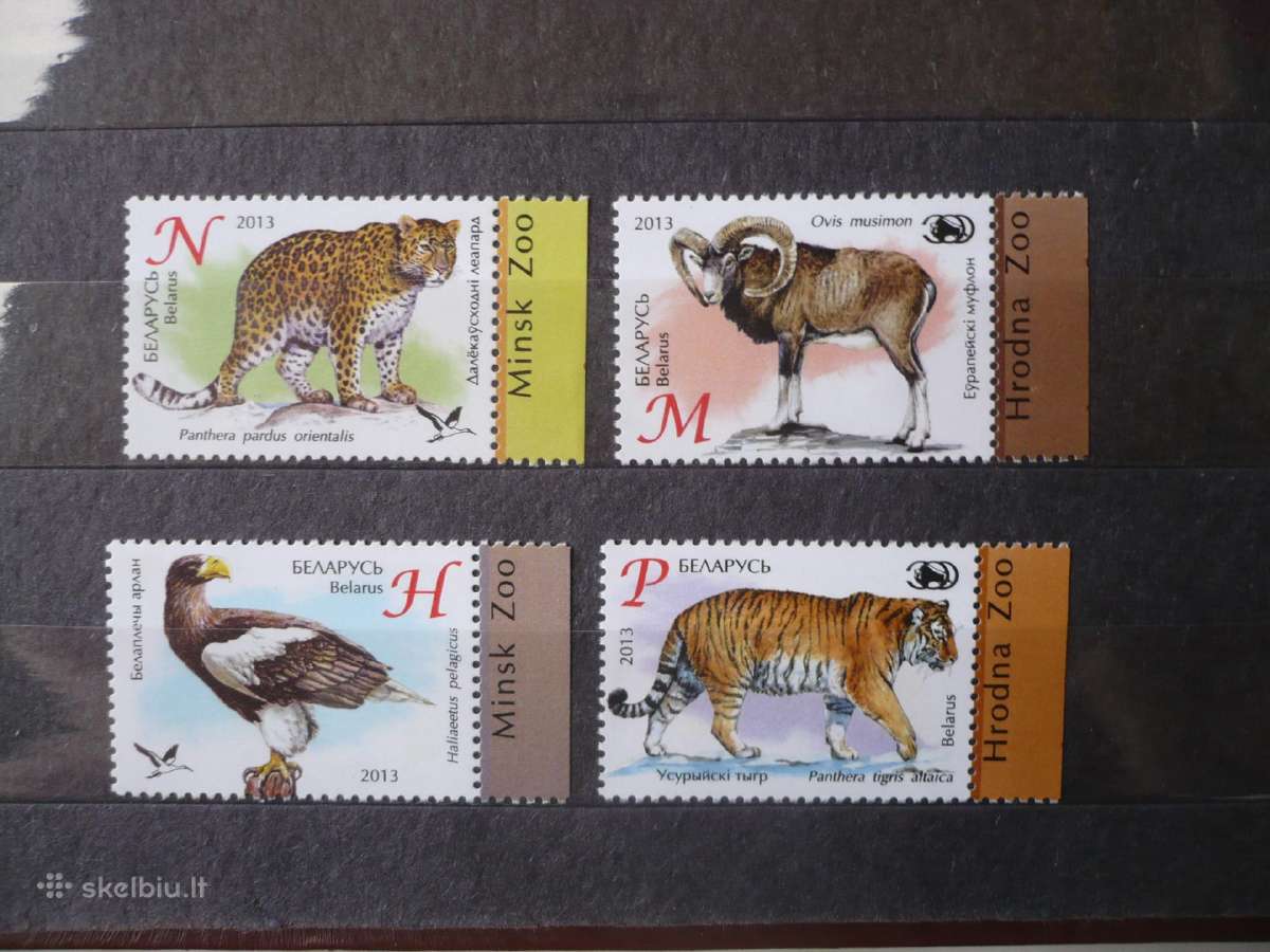 2013 Fauna – zoologijos sodai Baltarusijoje Mhn