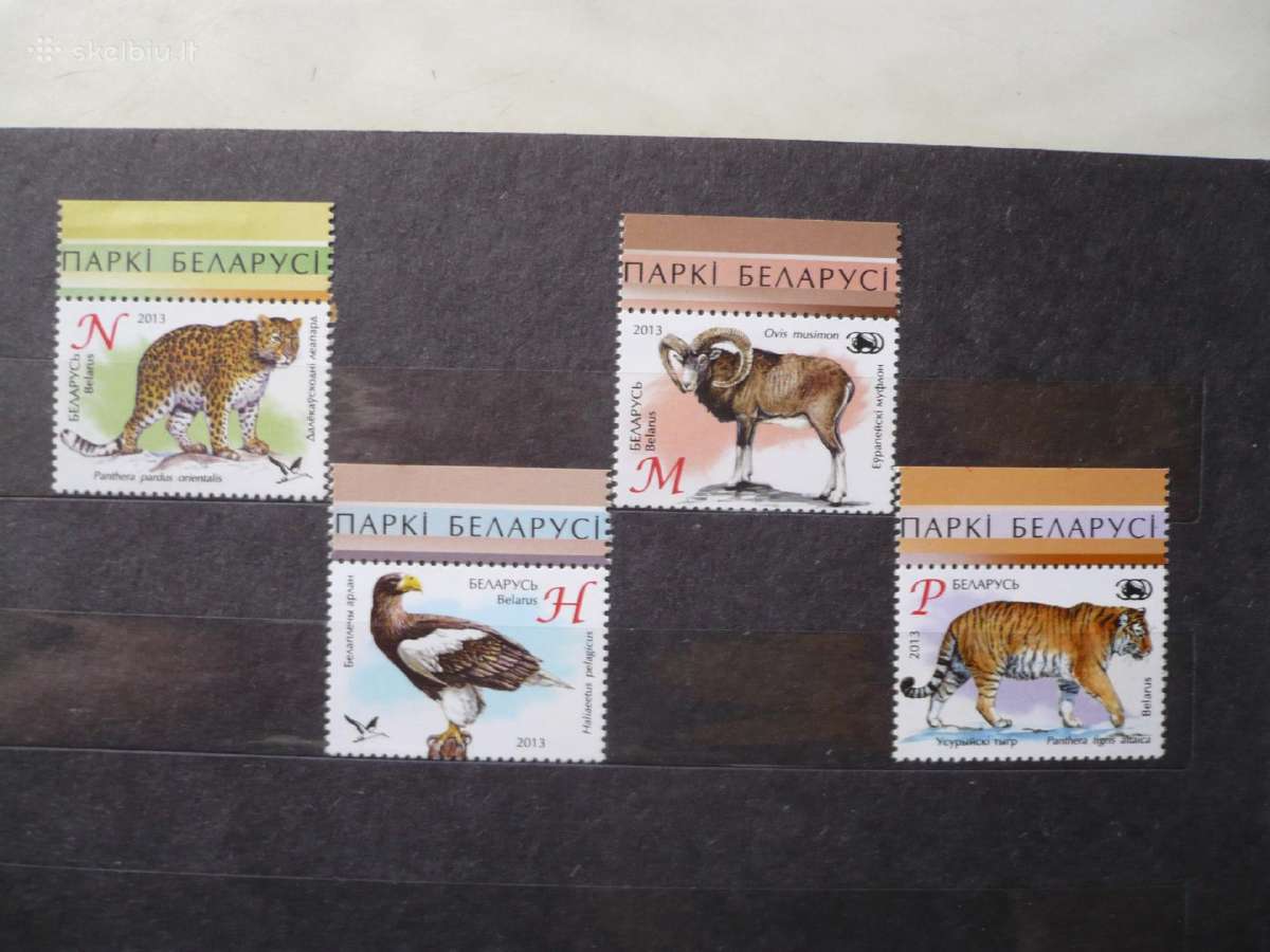 2013 Fauna – zoologijos sodai Baltarusijoje Mhn