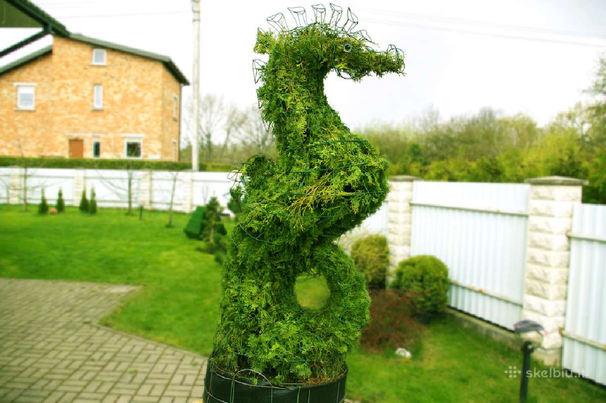 Augalų Skulptūros (Topiary), rėmai - nuotraukos Nr. 15