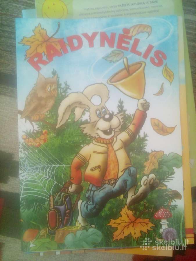 Raidynėlis/ Knyga