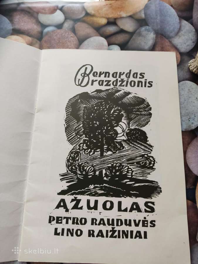 Brazdžiionio grafikos knygelė - nuotraukos Nr. 2