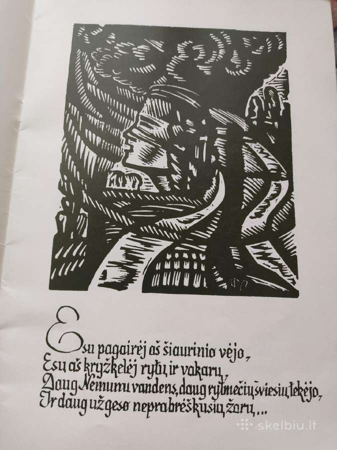 Brazdžiionio grafikos knygelė - nuotraukos Nr. 4