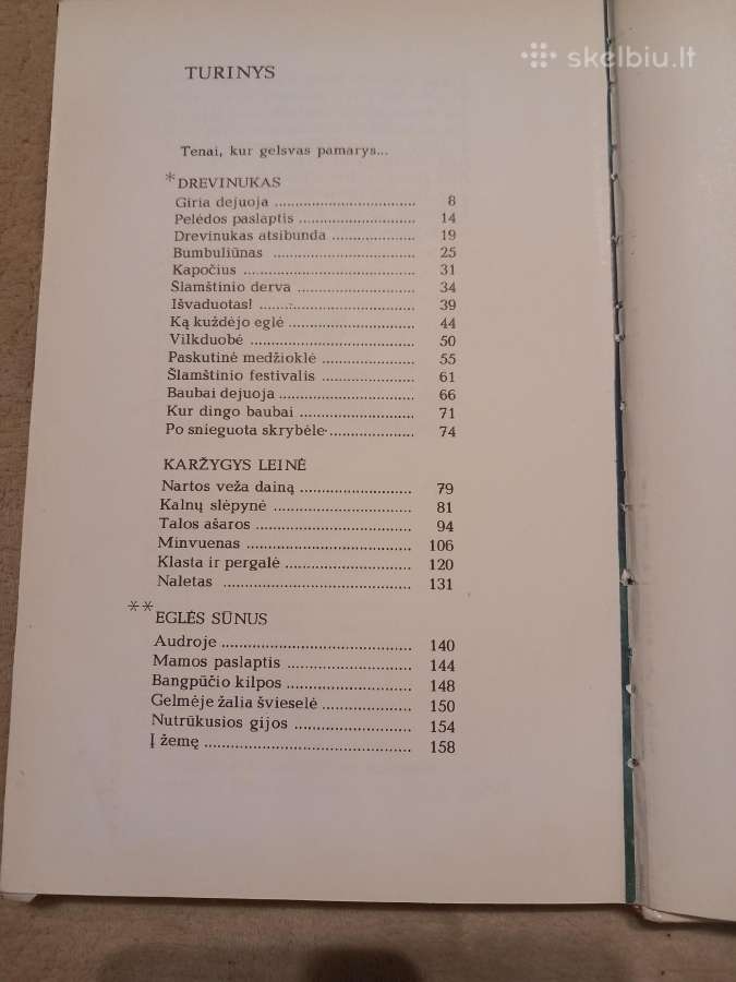 Vaikiškos knygos - nuotraukos Nr. 4