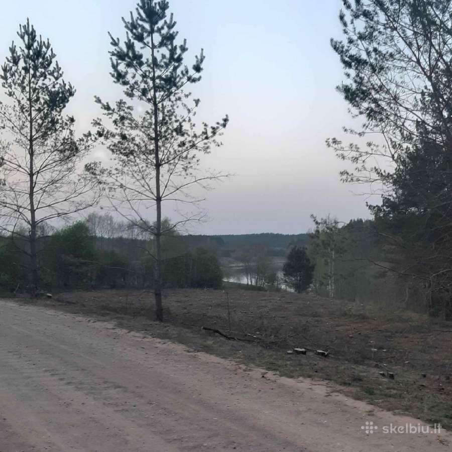 Apleistų sklypų tvarkymas,brangiai perkame biokurą - nuotraukos Nr. 10