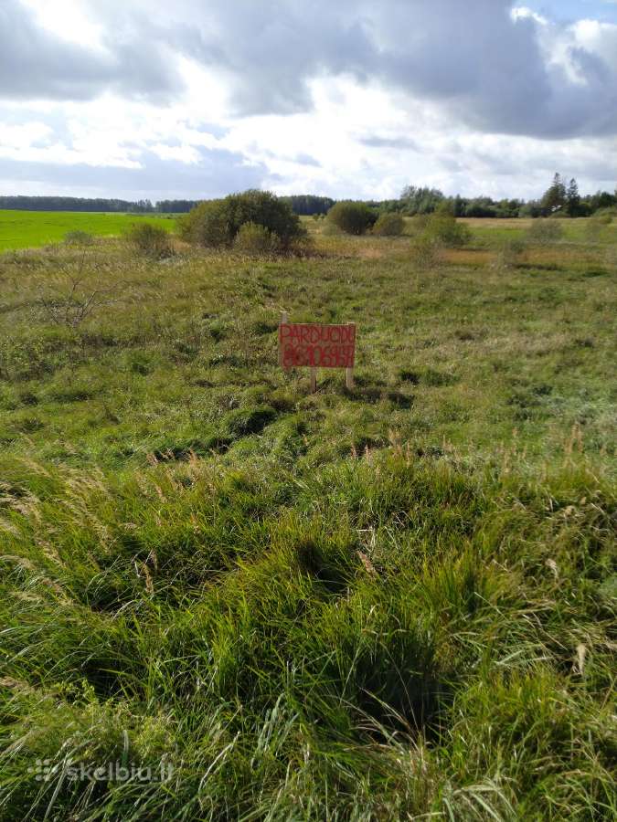 Žemė Žiogų k., Gruzdžių sen.