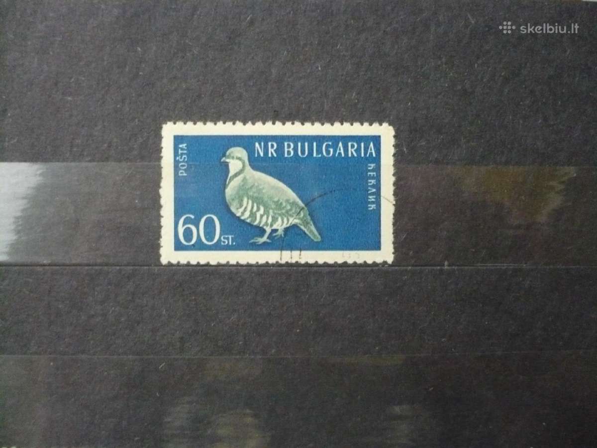 1959 m. paukščiai