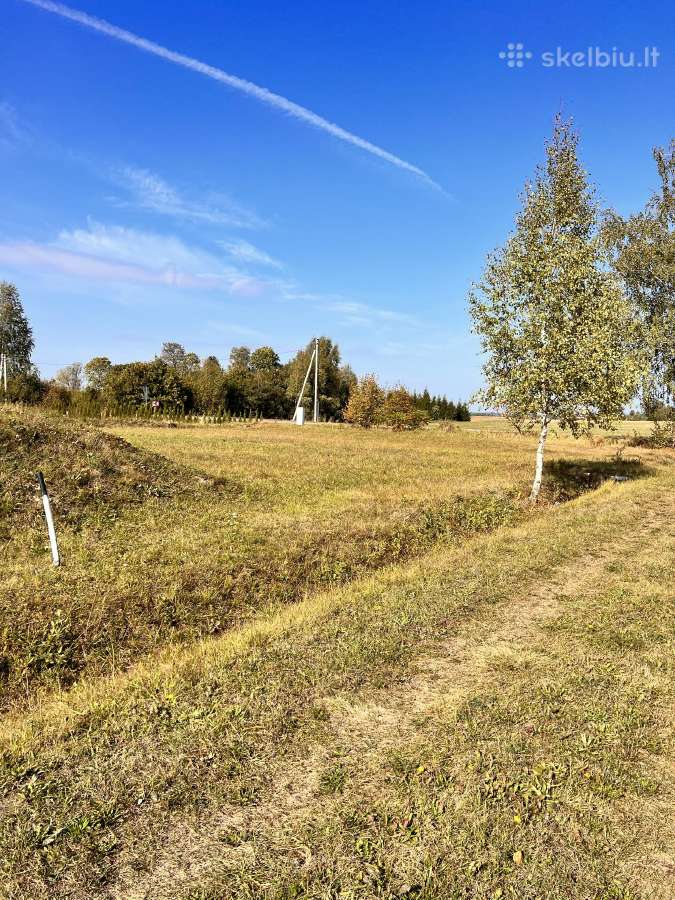 Alytaus Rajone Parduodami Sklypai - nuotraukos Nr. 2