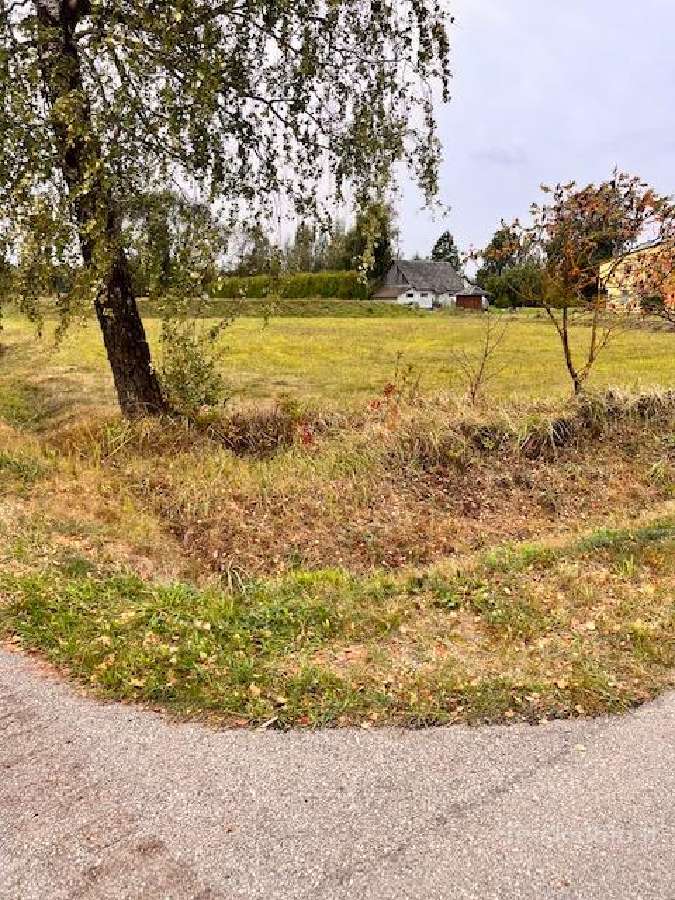 Alytaus Rajone Parduodami Sklypai - nuotraukos Nr. 4