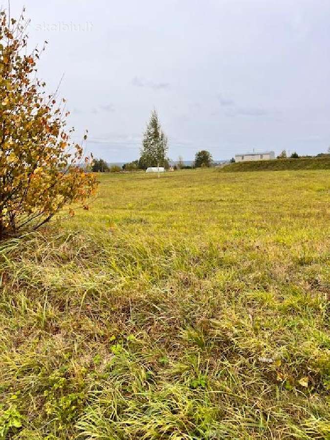 Alytaus Rajone Parduodami Sklypai - nuotraukos Nr. 8