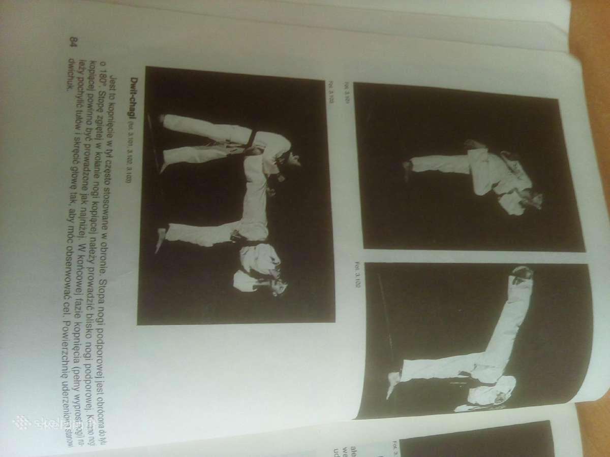 Taekwondo - nuotraukos Nr. 6
