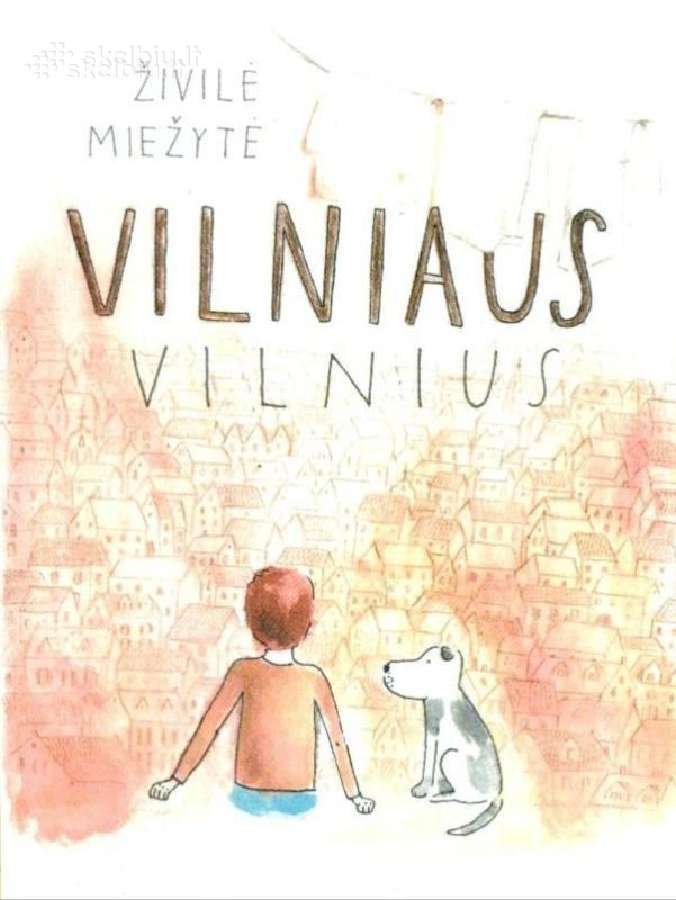 Živilė Miežytė. Vilniaus Vilnius