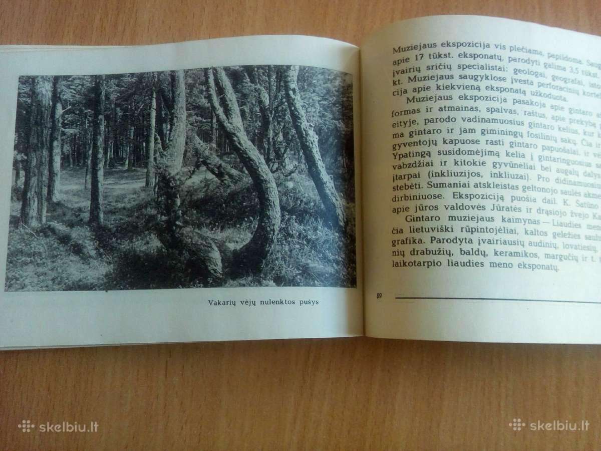Palanga - nuotraukos Nr. 3